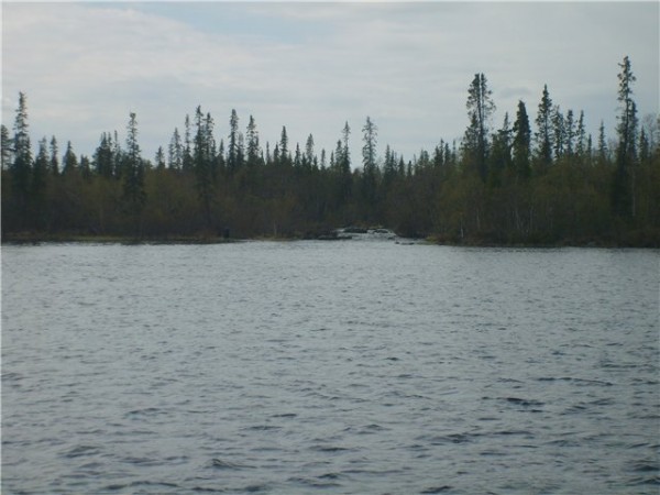 S5003310.jpg