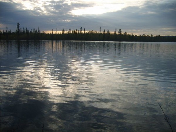 S5003317.jpg