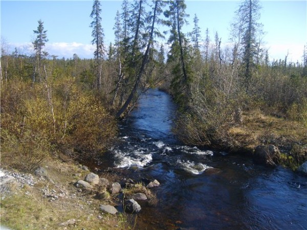 S5003384.jpg