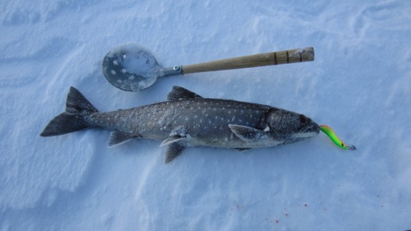 первый гольчик.jpg