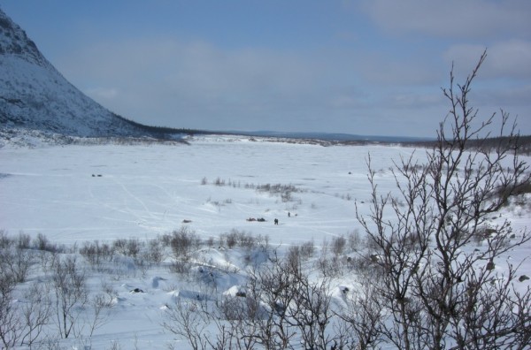 D77.JPG