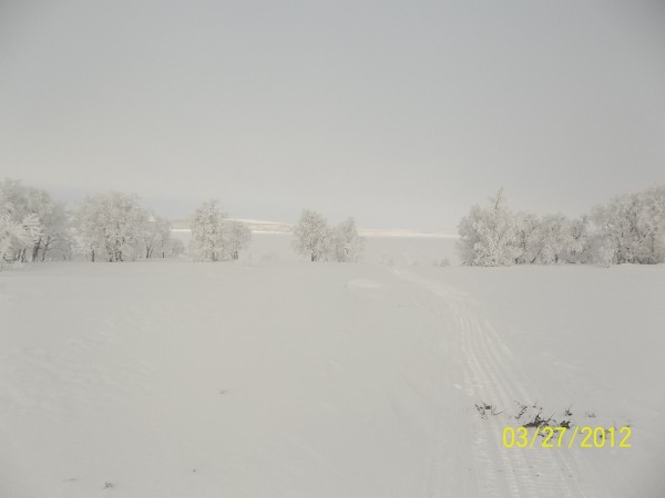 100_0482.JPG