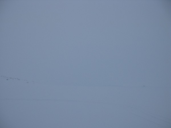 IMG_8801 - копия.JPG