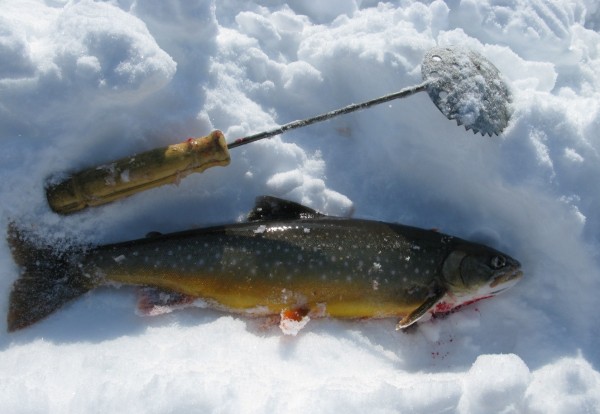 IMG_8806 - копия.JPG