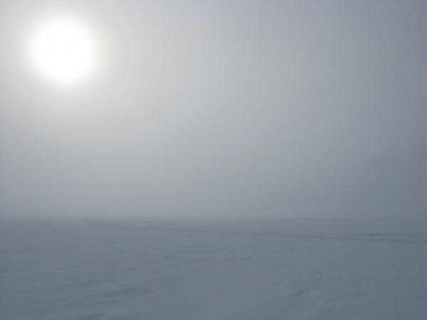 IMG_8816 - копия.JPG