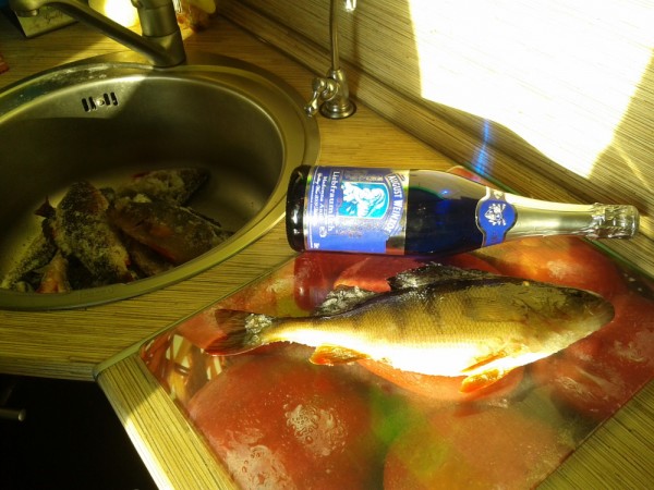 2012-04-01 18.18.21-1.JPG