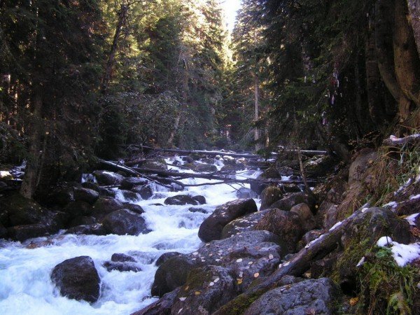 какой то волшебный ручей.JPG