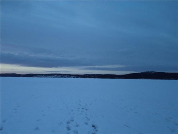 DSC00800.jpg