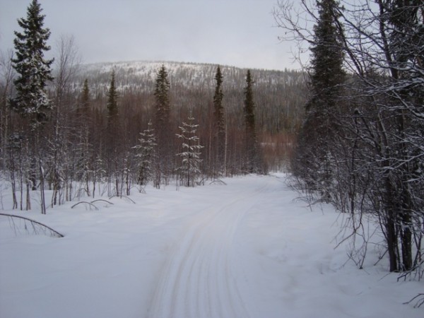 DSC03041.JPG