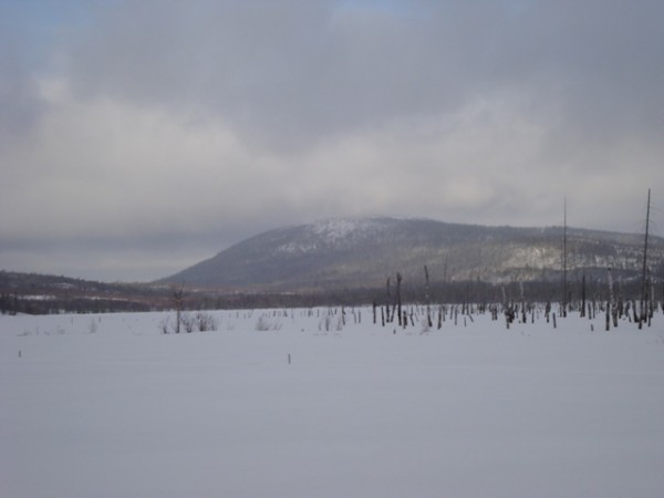 DSC03047.JPG
