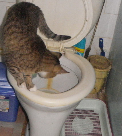 IMGP5678.jpg