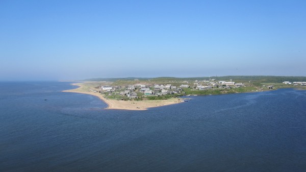 IMG_0368_resize.jpg
