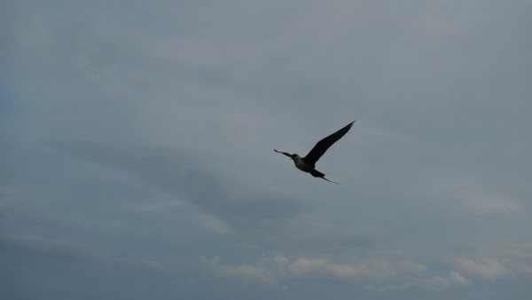 P1010336_resize.jpg