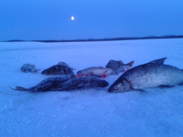 2012-05-05 00.23.13-1.JPG