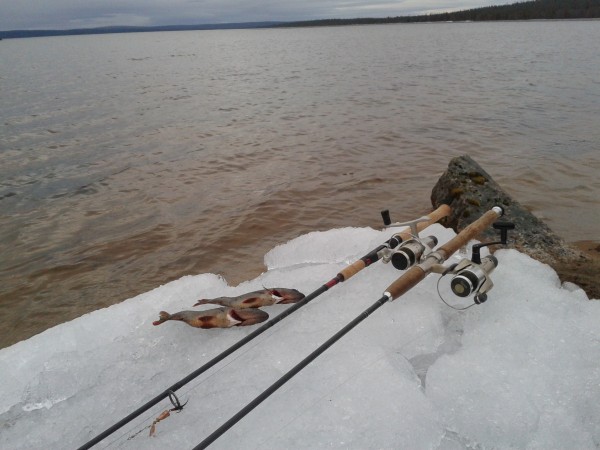 2012-05-24 23.57.53-1.JPG