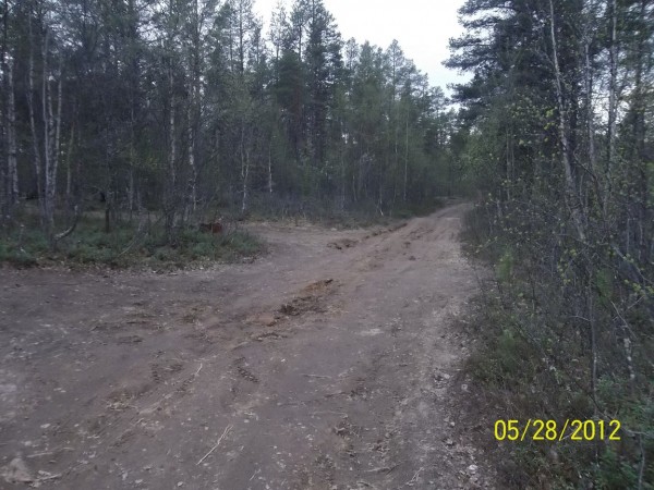 100_0599.jpg