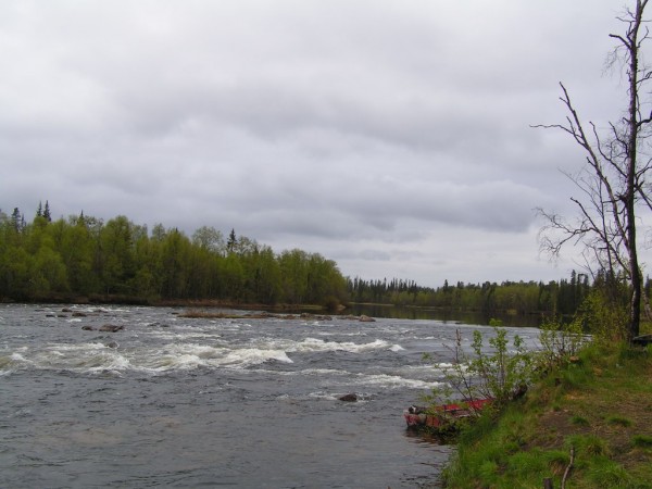 PICT0001.jpg