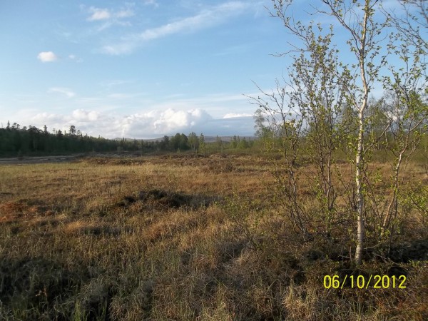 100_0708.jpg