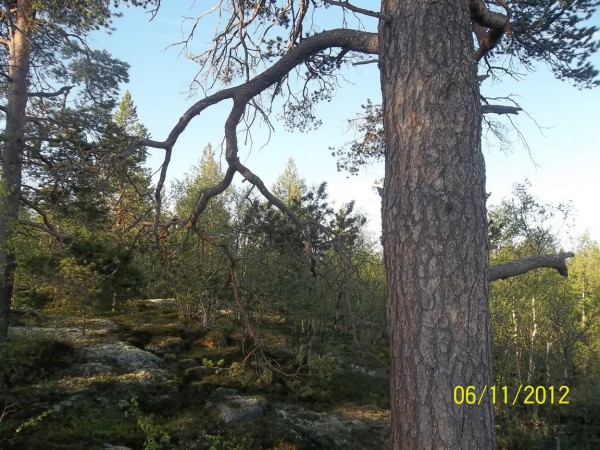 100_0729.jpg