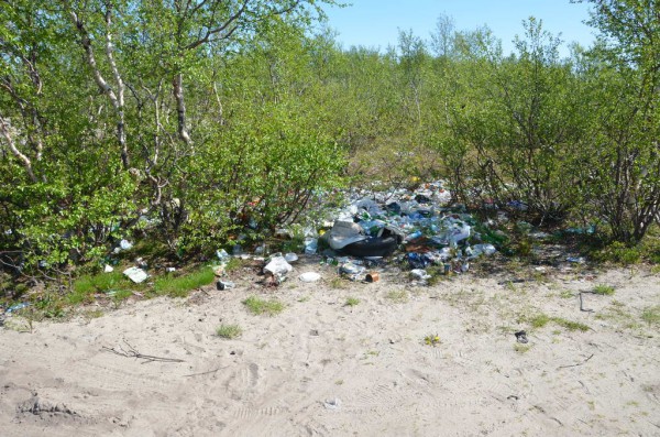 мусор в лесу.jpg