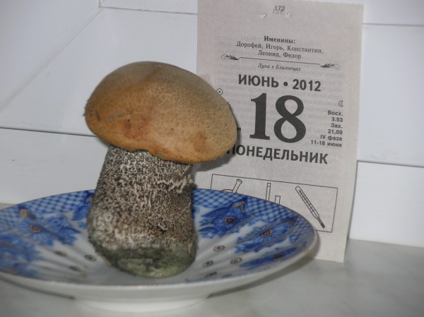DSCN3797.JPG