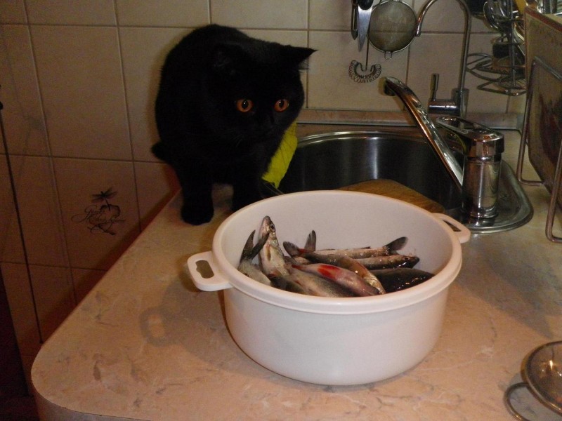 4.JPG