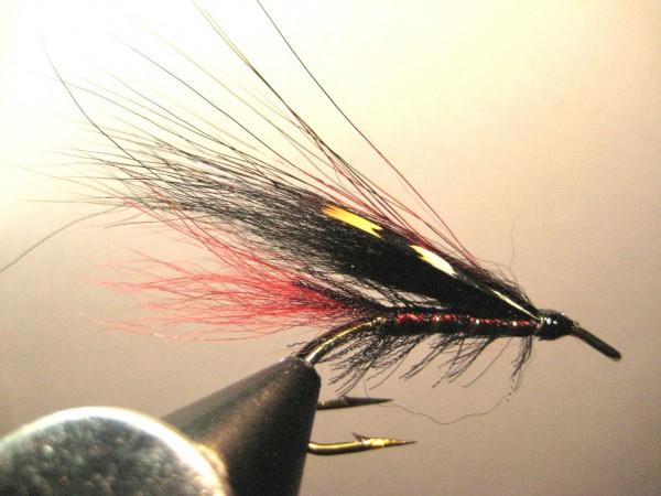 мои лосось 142.jpg