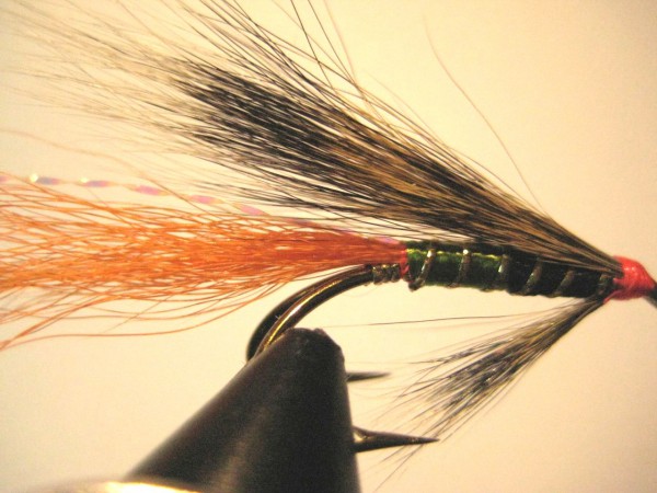 мои лосось 117.jpg