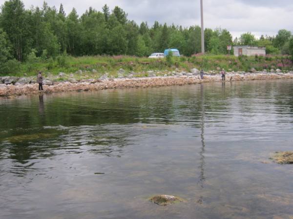 IMG_1302_новый размер.JPG