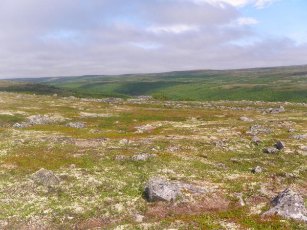 85.JPG