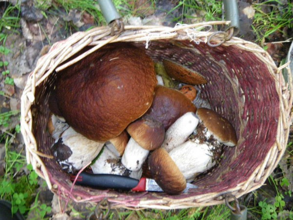 Корзинка.jpg