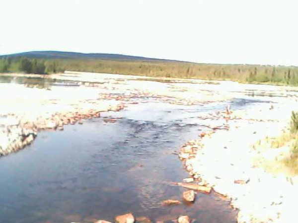IMG0076A.jpg