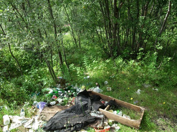 Ивушка 018микро8.jpg