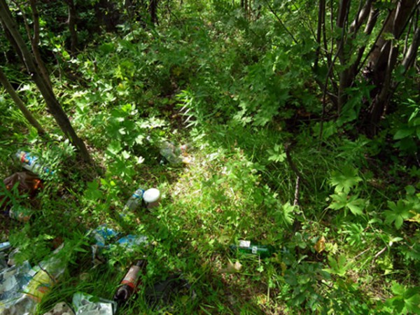 Ивушка 021микро8.jpg