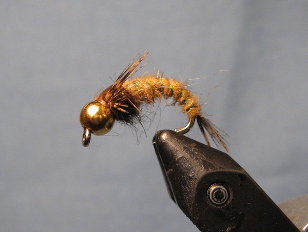 Нимфа Волжская 019.2.jpg