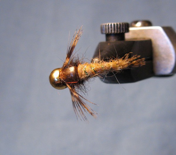 Нимфа Волжская 022.1.jpg