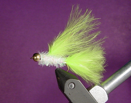 Кет Вискер3.jpg