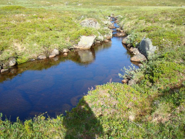 DSC02677.JPG