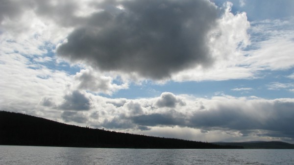 IMG_1664.jpg