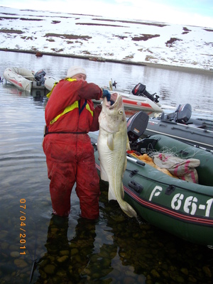 imgp0920_300x400_pc.jpg
