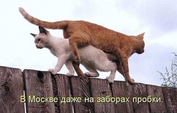 222.jpg