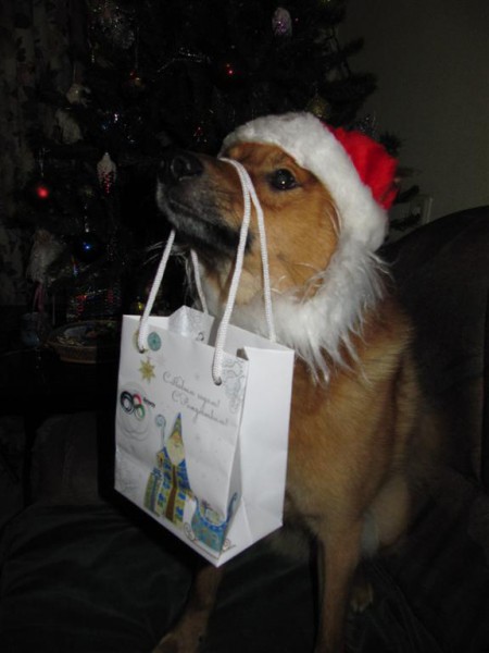 Изображение 039 (Большой).jpg