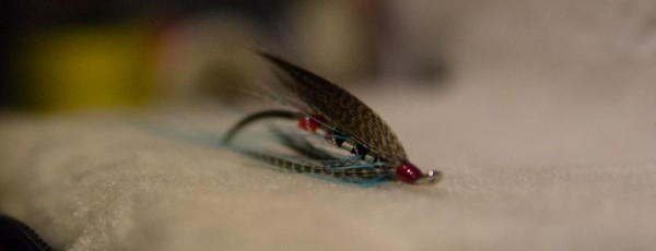 DSC_0435.jpg