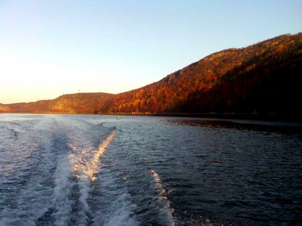 IMG10250.jpg