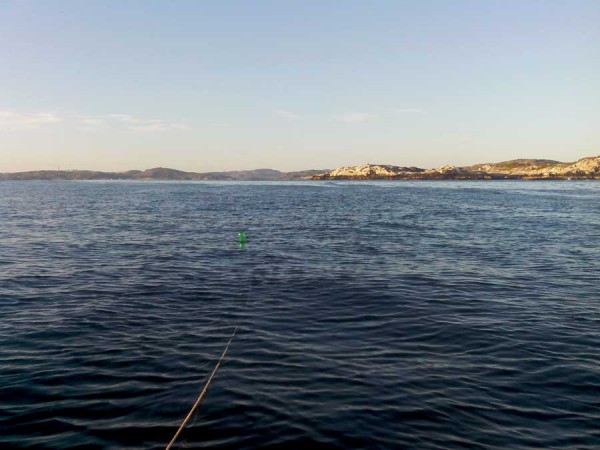 IMG10261.jpg