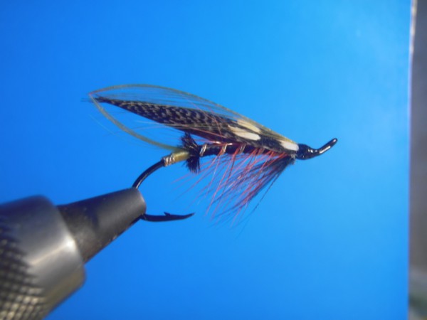 Thunder & Lighting (S).JPG