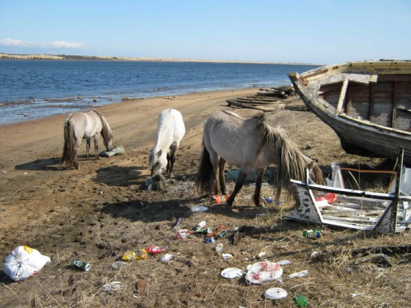 img 269_новый размер.jpg