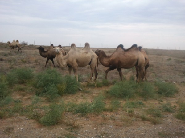 2012-08-20 11.31.35.jpg