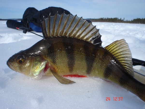 Изображение 103.jpg