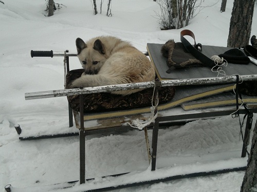 Фото на память (5).jpg